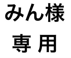 みん様専用 — image 1