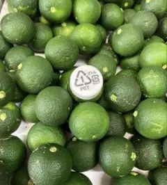 徳島県産　ハウスすだち　箱込み1kg — image 1