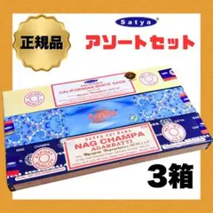 【3箱アソートセット】SATYAお香 ナグチャンパ/アースタ/ホワイトセージ — image 1