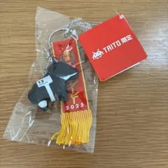 TAITO限定 優勝レイ付きキーホルダー クロワデュノール — image 1