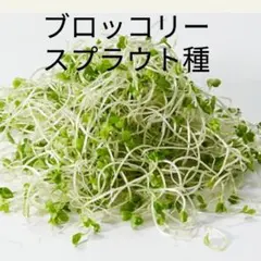myk（＾∇＾）様 リクエスト 2点 まとめ商品 — image 1