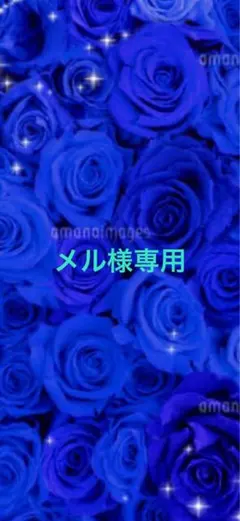 メル様専用 — image 1