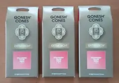 GONESH CONES EXTRA RICH STRAWBERRY 3箱 — image 1