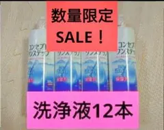 【数量限定SALE！】コンセプトワンステップ 洗浄液のみ 12本 — image 1