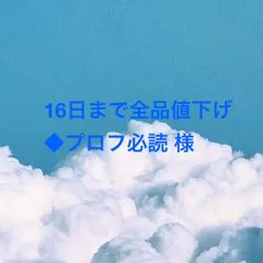 16日まで全品値下げ◆プロフ必読 様 — image 1