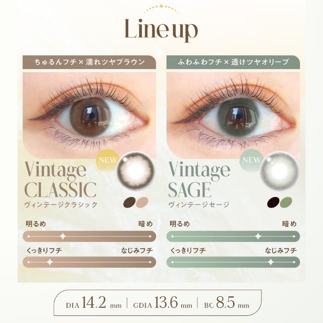 【1箱分無料(3箱ご購入＆クーポン利用で)】エンジェルカラー バンビ ヴィンテージ カラコン ワンデー バンビシリーズ 当日発送【1箱10枚入】度あり 度なし 14.2mm 益若つばさ Bambi Natural Vintage 1day 1日 UVカット 高含水 カラー コンタクト 新色 — image 3