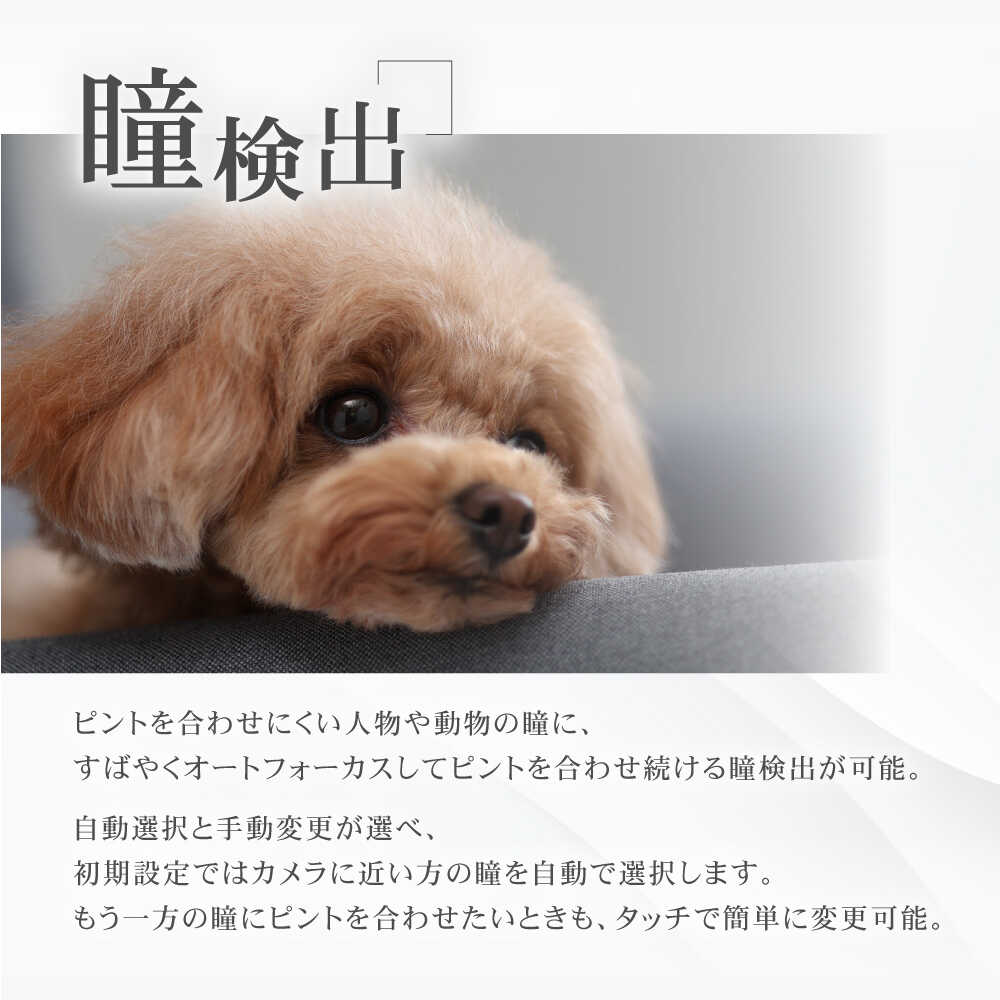 【ふるさと納税】早期発送！Canon EOS R10 レンズキット 1年保証付 キヤノン ミラーレス カメラ 一眼【長崎キヤノン】 [MA16] — image 3