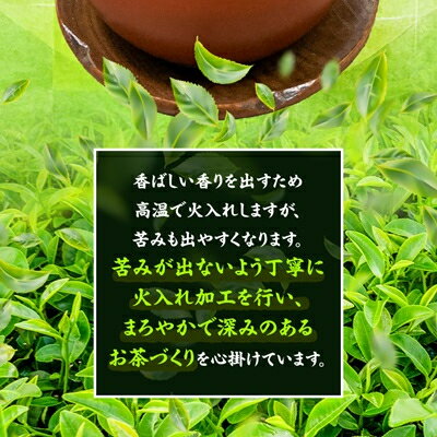 【ふるさと納税】【新茶先行予約】【訳あり】深蒸し掛川茶100g×10袋(計1kg) 訳ありは袋だけ!静岡が誇る日本茶_ 訳あり お茶 緑茶 煎茶 茶葉 深蒸し 静岡茶 掛川茶 静岡県 掛川市 送料無料 【配送不可地域：離島・沖縄県】【1108689】 — image 3