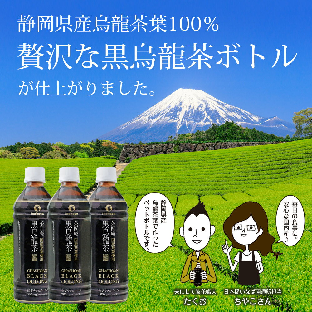 【ふるさと納税】 静岡県産 黒烏龍茶 計48本 500ml × 24本 2ケース ペットボトル 黒ウーロン茶 国産 ポリフェノール配合 いなば園 ウーロン茶 茶 茶 ノンカフェイン 冷茶 さっぱり デトックス 牧之原市 静岡県 — image 2