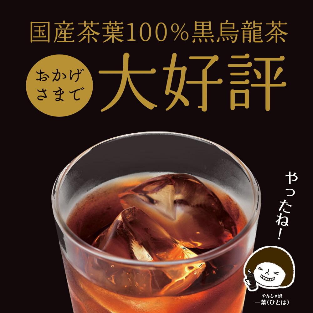 【ふるさと納税】 静岡県産 黒烏龍茶 計48本 500ml × 24本 2ケース ペットボトル 黒ウーロン茶 国産 ポリフェノール配合 いなば園 ウーロン茶 茶 茶 ノンカフェイン 冷茶 さっぱり デトックス 牧之原市 静岡県 — image 3