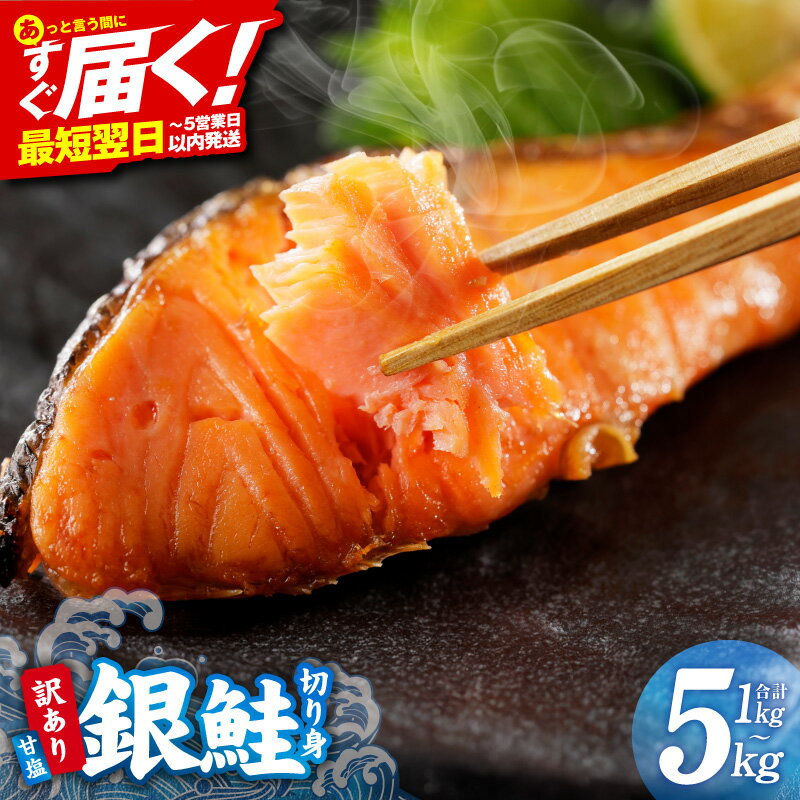 【ふるさと納税】総合1位 人気 訳あり 銀鮭 切り身 甘塩 選べる 定番 / 厚切り 1kg～5kg サイズ 不揃い 規格外 バター焼き 海鮮 魚介 鮭 朝食 お弁当 おかず バラ凍結 簡単調理 5営業日 発送月 定期便 最短翌日発送 大阪府 泉佐野市 送料無料 — image 1