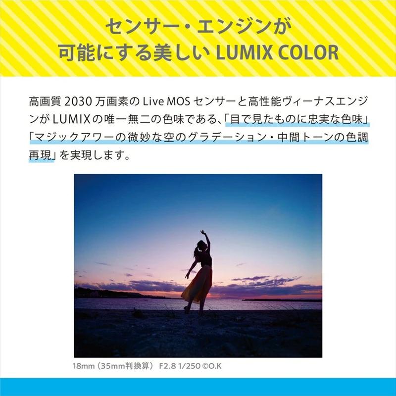 【ふるさと納税】パナソニック デジタル一眼カメラ ルミックス　DC-G100DK【 電化製品 生活家電 カメラ デジタルカメラ 一眼レフ 人気 おすすめ 送料無料 大阪府 門真市 】 — image 3