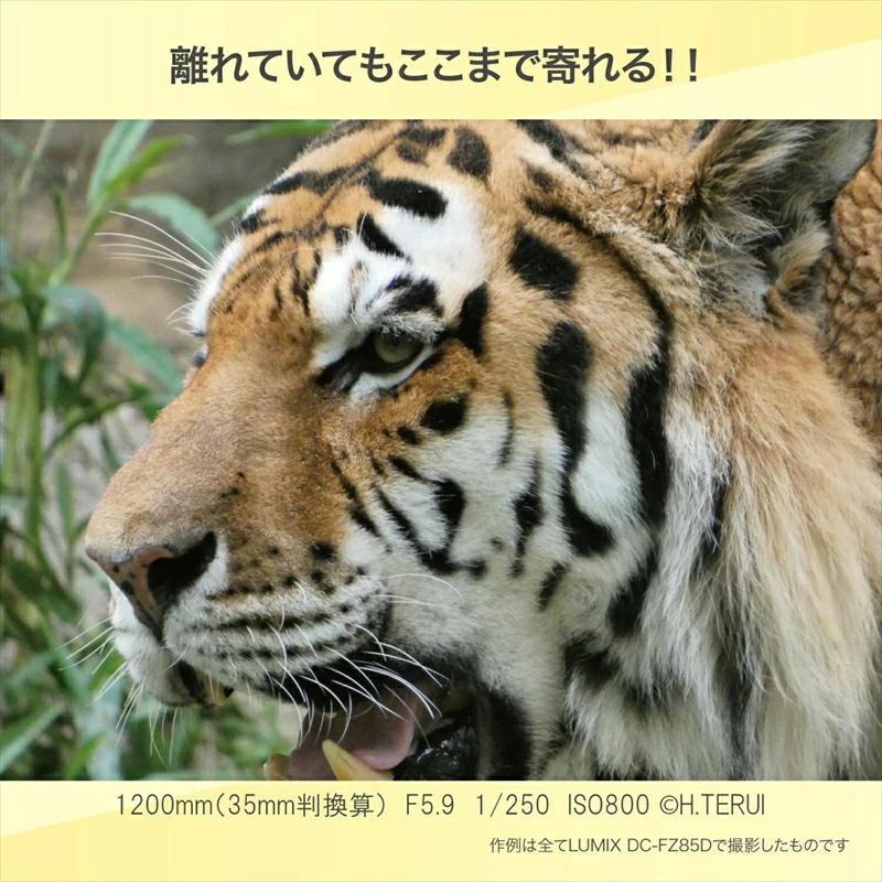 【ふるさと納税】パナソニック コンパクトデジタルカメラ ルミックス　DC-FZ85D【 電化製品 生活家電 カメラ デジタルカメラ 一眼レフ 人気 おすすめ 送料無料 大阪府 門真市 】 — image 3