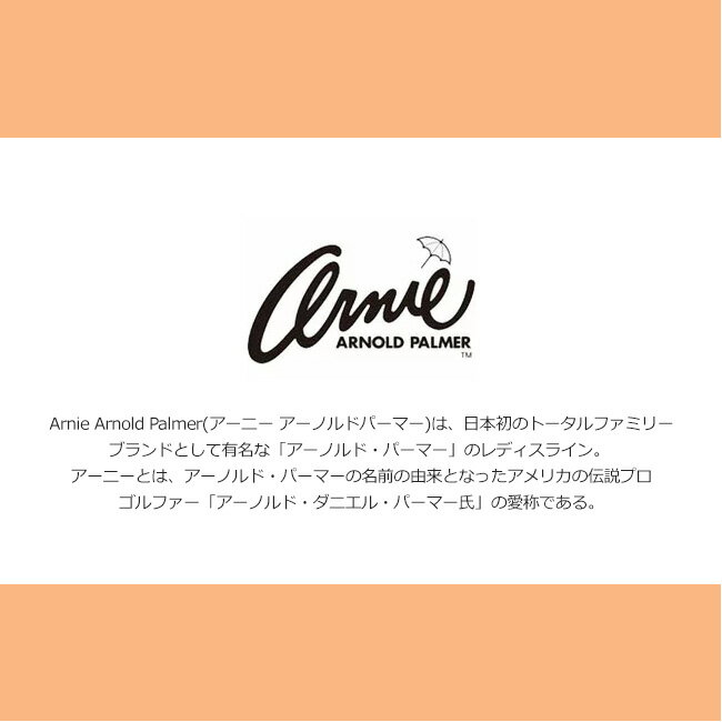 アーニーアーノルドパーマー スニーカー レディース スリッポン 履きやすい 疲れない 蒸れない 履きやすい 軽量 通気性 メッシュ ゴム紐 おしゃれ きれいめ AN0901 黒 白 春 夏 ジム 運動靴 通勤 通学 シューズ 靴【2402】送料無料 — image 2