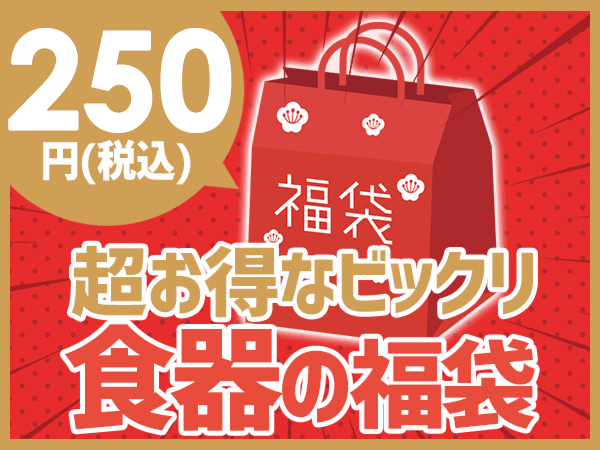 超お得な ガチャ 福袋 2026 アウトレット 訳あり 陶器 食器 陶磁器 磁器 和食器 洋食器 中華食器 白い食器 おしゃれ かわいい セット まとめて 詰め合わせ 在庫処分 見本品 サンプル 目玉商品 ポイント消化 — image 2