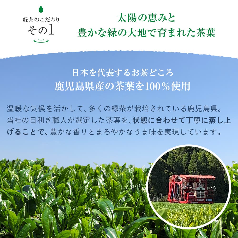 【最安値に挑戦中！】緑茶 彩茶 - あやちゃ - 500ml×24本 お茶 ラベルレス 鹿児島県産茶葉使用 送料無料※一部地域除く ペットボトル ライフドリンク カンパニー LIFEDRINK 日本茶 まとめ買い ライフドリンク — image 3